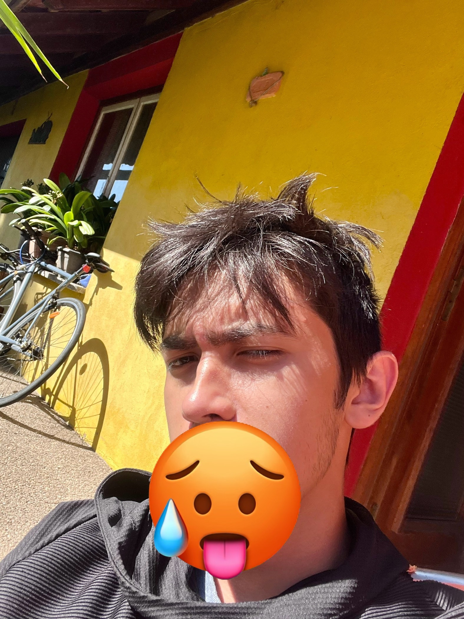 Profil de Tiago, 24 ans, Boite gay à Etzgen